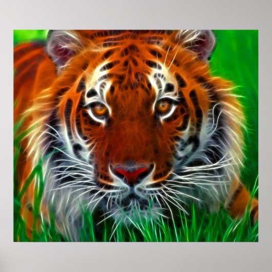 Selten Sumatran Tiger aus Indonesien Poster (Vorne)