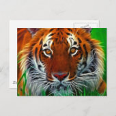 Selten Sumatran Tiger aus Indonesien Postkarte (Vorne/Hinten)