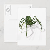Selten Watermelon Spider Postkarte (Vorne/Hinten)