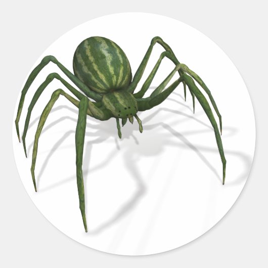 Selten Watermelon Spider Runder Aufkleber (Vorderseite)