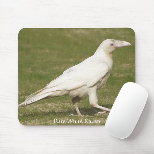 Selten White Raven Mousepad (Mit Mouse)