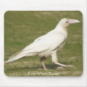 Selten White Raven Mousepad (Vorne)