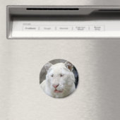 Selten White Tiger Magnet (In Situ (Geschirrspüler))