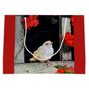 Seltene Albino-Rotbarbe Große Geschenktüte