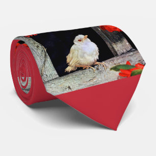 Seltene Albino-Rotbarbe Krawatte