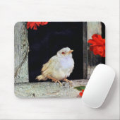 Seltene Albino-Rotbarbe Mousepad (Mit Mouse)