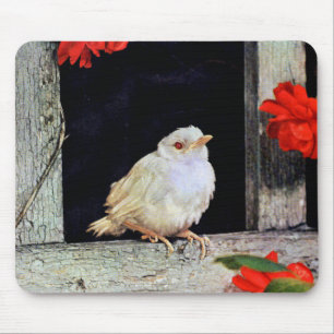 Seltene Albino-Rotbarbe Mousepad