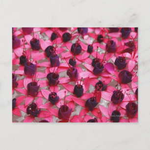 Seltene asiatische Blume schwimmen im Wasser Postkarte