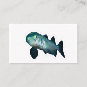 Seltene Barreleye-Tiefseefische Transparenter Kopf Begleitkarte