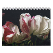 seltene Blumenbilder Kalender (Titelbild)