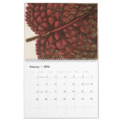 Seltene botanische Vintage Leaf-Illustration Kalender (Feb 2026)