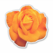 Seltene Bright Orange Rose Aufkleber (Vorderseite)