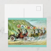 Seltene Catskill-Bergkatzen Postkarte (Vorne/Hinten)