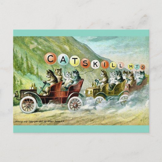Seltene Catskill-Bergkatzen Postkarte (Vorderseite)