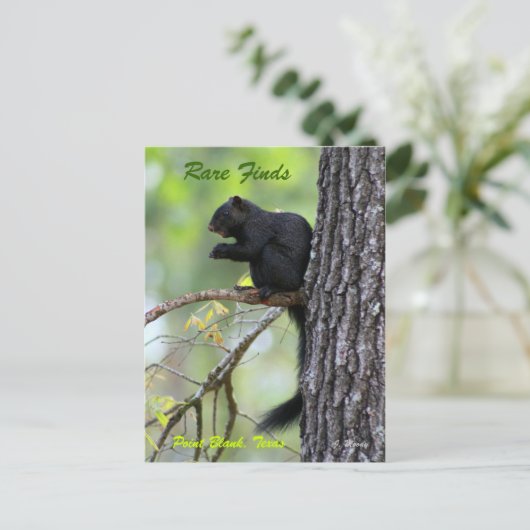 Seltene Entdeckungen Postkarte (Stehend Vorderseite)