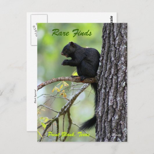 Seltene Entdeckungen Postkarte (Vorne/Hinten)