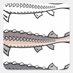Seltene Fische des Störs Quadratischer Aufkleber