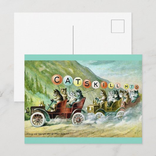 Seltene Katzen Postkarte (Vorne/Hinten)