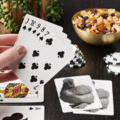 Seltene Niedliche Hühnerzucht Blue Silkie Hen Poul Spielkarten (In Situ)