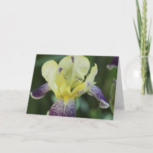 Seltene orchid-Grußkarte Karte