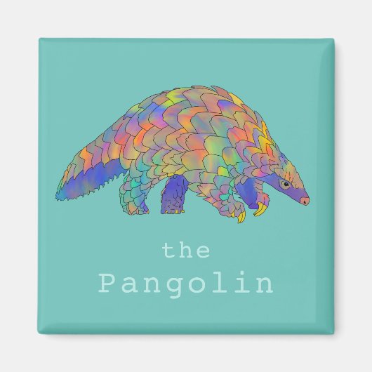 Seltene Pangolin-Anteater bunt Magnet (Vorne)