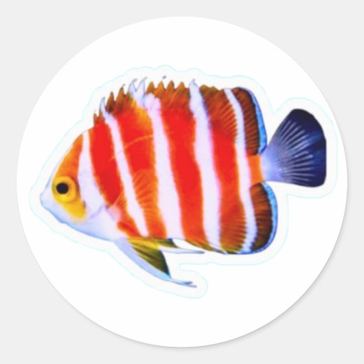 Seltene Pfefferminz-Engelfisch-Aufkleber - Deep Se Runder Aufkleber (Vorderseite)