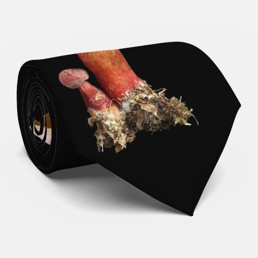 Seltene Pilz-Krawatte mit zweifarbigem Boletus Krawatte (Gerollt)