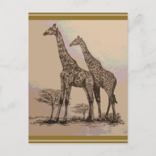 Seltene Retro-afrikanische Giraffen in Sepia und P Postkarte