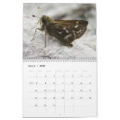Seltene Schmetterlinge 2013 Kalender (Mär 2026)