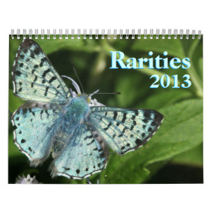 Seltene Schmetterlinge 2013 Kalender