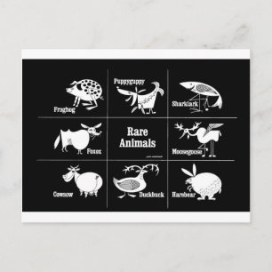 Seltene Tiere Postkarte