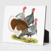 Seltene Türkei Quartett Fotoplatte (Seite)