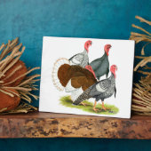 Seltene Türkei Quartett Fotoplatte (Seite)