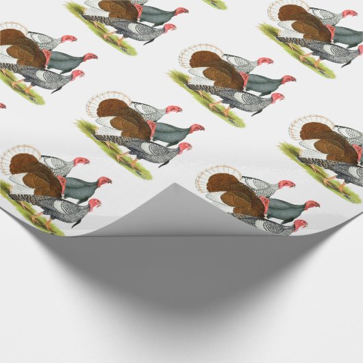 Seltene Türkei Quartett Geschenkpapier (Ecke)