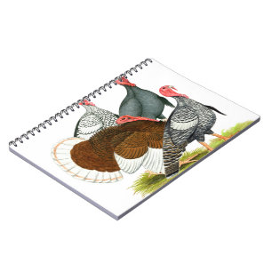 Seltene Türkei Quartett Notizblock