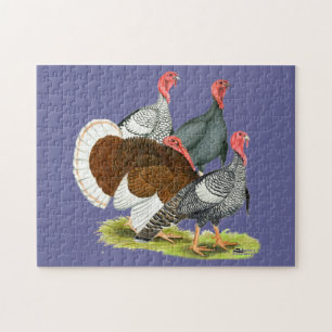 Seltene Türkei Quartett Puzzle