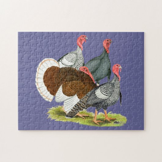 Seltene Türkei Quartett Puzzle (Horizontal)