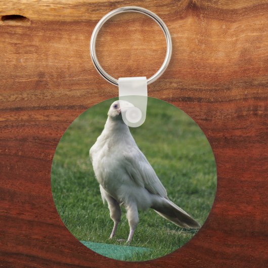 Seltene weiße Raven-Geschenke Schlüsselanhänger (Vorderseite)