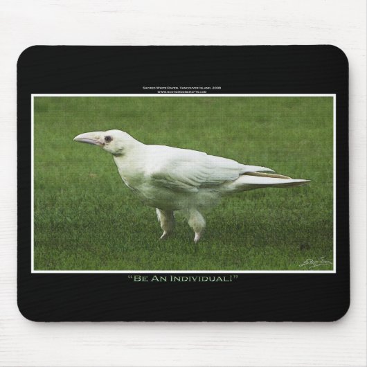 Seltene weiße Raven-Wildlife-Fotografie Mousepad (Vorne)