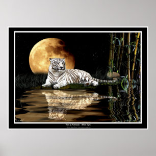 SELTENE WEISSE TIGER & MOON Art Prints & Poster