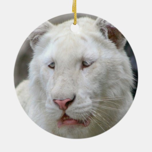 Seltene weiße Tiger-Verzierung Keramikornament (Hinten)