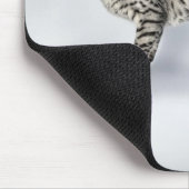 Seltener ägyptischer Mau-Katze Mousepad (Ecke)