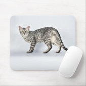 Seltener ägyptischer Mau-Katze Mousepad (Mit Mouse)