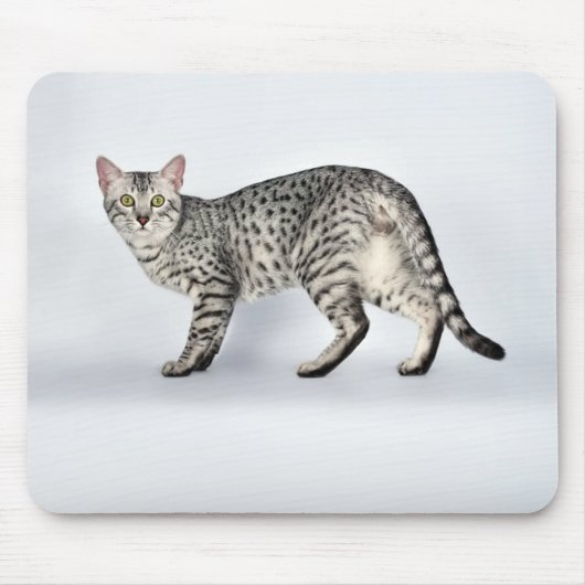 Seltener ägyptischer Mau-Katze Mousepad (Vorne)
