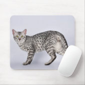 Seltener ägyptischer Mau-Katze Mousepad (Mit Mouse)