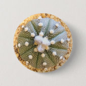 Seltener Astrophytum Asterias Muster-Kaktus Button (Vorderseite)