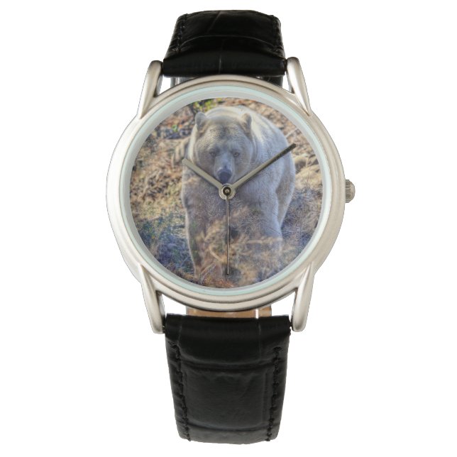 Seltener Kermode-Bär (Geistbär) Wildlife-Foto Armbanduhr (Vorderseite)