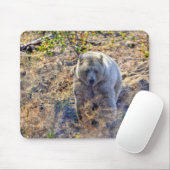Seltener Kermode-Bär (Geistbär) Wildlife-Foto Mousepad (Mit Mouse)