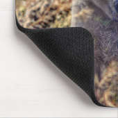 Seltener Kermode-Bär (Geistbär) Wildlife-Foto Mousepad (Ecke)