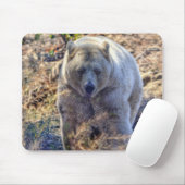 Seltener Kermode-Bär (Geistbär) Wildlife-Foto Mousepad (Mit Mouse)